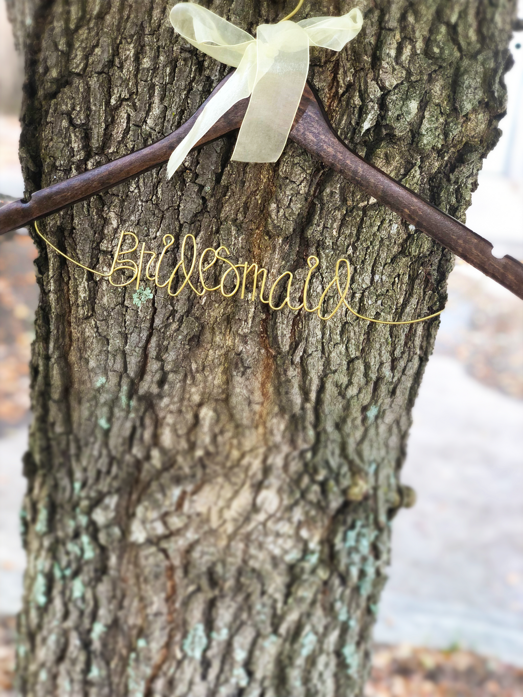 Bride & Bridesmaid Wedding Hangers