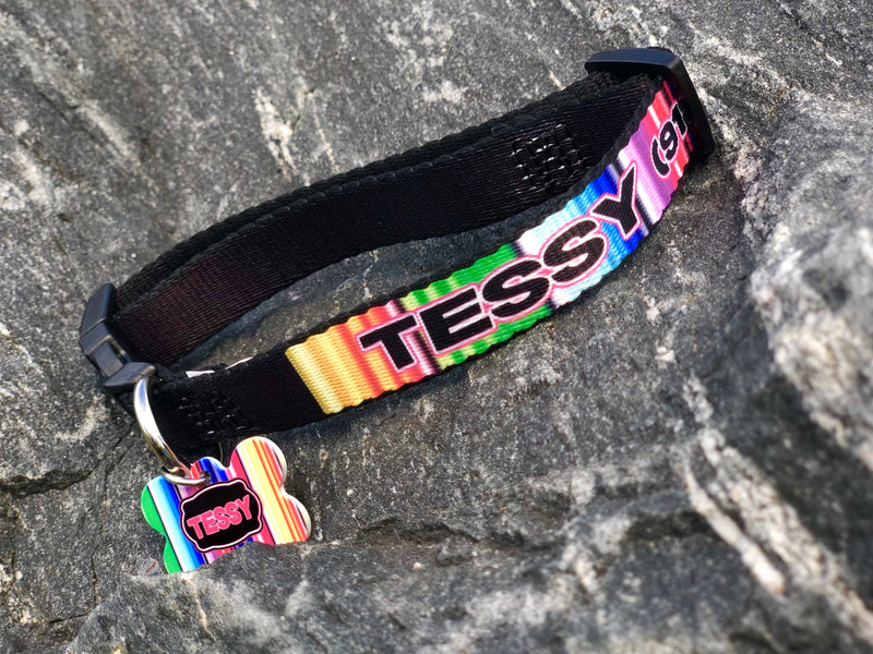 Serape Print Dog Collar