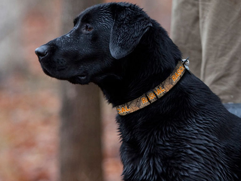 Camo Dog Collar